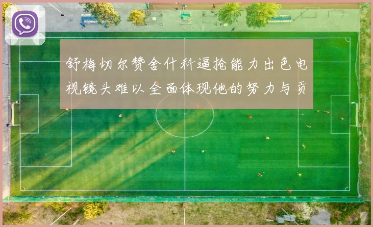 舒梅切尔赞舍什科逼抢能力出色电视镜头难以全面体现他的努力与贡献