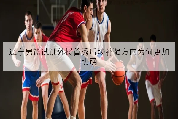 辽宁男篮试训外援首秀后场补强方向为何更加明确
